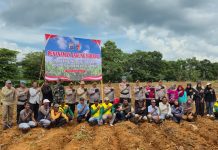 Polda Kalsel Tanam Jagung di Gunung Kayangan