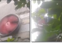 WARGA AMUNTAI RESAH! Exhaust Fan Dapur MBG Keluarkan Suara Bising Tengah Malam, Ganggu Ketenangan