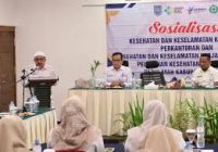 Pemkab Banjar Gelar Sosialisasi K3 Perkantoran dan Fasilitas Pelayanan Kesehatan, Wabup Tekankan Pentingkan Penerapan Prinsip K3