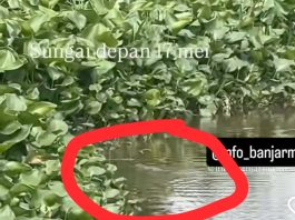 Diduga Buaya Ada di Sungai Jafri Zamzam