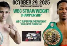 Melvin Jerusalem pertahankan gelar WBC lawan Kuse Oktober mendatang