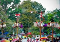 Meriahkan HUT ke 80 RI, KNPI HST Gelar Lomba Panjat Pinang 17 Pohon