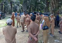 Pemekaran Kecamatan Pelaihari, Pemkab Tanah Laut Berencana Bentuk Kecamatan Baru di 2027