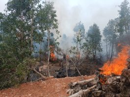 Update Karhutla di Liang Anggang: 7,5 Hektare Lahan Gambut Terbakar, 1,5 Hektare Berhasil Dipadamkan