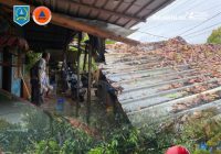 Pohon Tumbang di 2 Desa di HSS Rusak Warung dan Halangi Jalan Warga