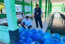UPT Perikanan Banjarbaru Jualan Ikan, Nila dan Lele Jadi Komoditas Andalan