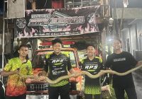 Ular King Kobra 3 Meter Ditemukan di Kandang Ayam Warga HSU
