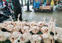 Harga Pangan Dipantau Ketat, Pemkab HST Akan Siapkan Operasi Pasar Jika Harga Kian Naik
