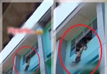 DETIK-DETIK Siswa SD di Tangsel Bergelantungan di Jendela Lantai 3, Teriakan Histeris Terdengar