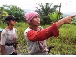 WARGA MANTEWE Jadi Saksi Mata Jatuhnya Helikopter di Batulicin: “Ada Ledakan, Asap Tebal Membumbung”