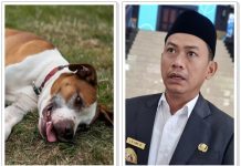 WALI KOTA BANJARMASIN Tegas Larang Jual &amp; Konsumsi Daging Anjing, Alasannya Mengejutkan!