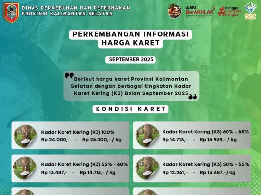 NTP Kalsel Naik 1,69 Persen di September 2025, Disbunnak Laporkan Harga Karet dan Sawit Menguat