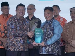 HST Raih Prestasi Nasional! Masuk Top 3 IMDI 2025, Tertinggi se-Kalimantan Selatan