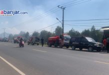 BREAKING NEWS Kebakaran Lahan di Pengayuan