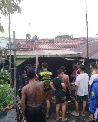 Dua Rumah Terbakar di Komplek UKA Gang Vinus