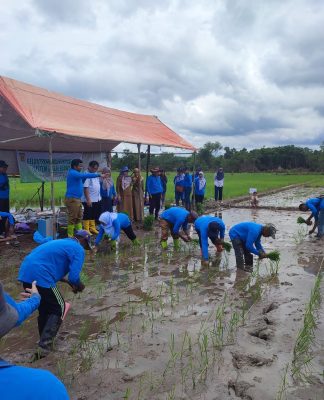 Dorong Produktivitas, Banjarbaru Terapkan Teknologi Jajar Legowo di Lahan Pertanian