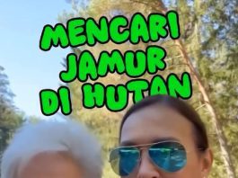 Liburan di Kampung Halaman Sang Bunda, Ira Wibowo Berburu Jamur di Hutan Jerman