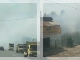 KARHUTLA DI BANJARBARU, Sempat Ganggu Pengguna Jalan &amp; Dekati Permukiman Warga Pangayuan!