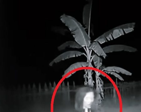 Heboh Penampakan Kuyang di Kalteng, Netizen Menduga AI: Rambutnya Lurus Habis Dicatok