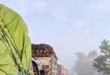 Tongkang Tabrak Jembatan Gohong di Pulang Pisau Sebabkan Kemacetan Lalu Lintas