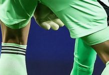 Pertandingan Wales vs Belgia Tertunda karena Invasi Tikus di Lapangan