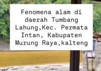 Fenomena Alam Air Sungai Menyemburkan Lumpur Bikin Warga Murung Raya Kalteng Geger