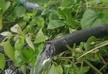 Pipa PDAM Warga Jalan Pramuka Bocor, Diduga Sengaja Dipotong Maling Meteran Air
