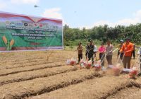 Dukung Ketahanan Pangan Nasional, Polres HST Gelar Penanaman Jagung Serentak Kuartal IV 2025 di Desa Pagat