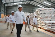 Targetkan Serap 4 Ton, Bulog Samakan Beras Satu Harga di Seluruh Indonesia