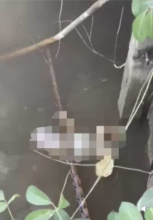 Misteri Jasad Orok Bayi Ditemukan di Desa Balandean Muara Terkuak, Ternyata Dihabisi Sebelum Ditemukan Mengapung