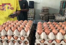 Program MBG Dongkrak Permintaan, Harga Telur di Banjarbaru Naik Tembus Rp33 Ribu Per Kilo