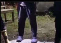 TANAH BUMBU GEGER! Buaya Masuk Permukiman, Sempat Lahap Ayam Warga di Jalan Ins-Gub!