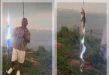Ngeri! Tangkap Ikan Listrik Penghasil Ratusan Volt, Pria Tiongkok Nyaris Tersetrum!