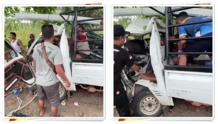 Pikap Tabrak Pohon di Gunung Kayangan Pelaihari, Penumpang Sempat Terjepit di Kabin!