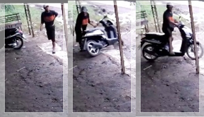 maling motor4