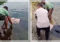 GEGER JORONG BANCAH! Mayat Mahasiswi Ditemukan di Sungai Dekat Masjid, Masih Berpakaian Lengkap dan Sepatu