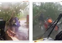 Ngeri! Pohon Besar Tumbang di Jalan Pramuka Banjarmasin, Dua Pengendara Tertimpa dan Dilarikan ke RSUD Ulin