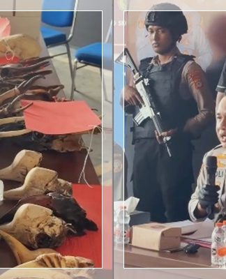 Perdagangan Satwa Dilindungi Diungkap Polres Banjar, 1.930 Bagian Hewan Langka Diamankan