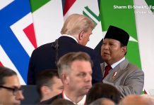 Gegara Mik Bocor! Terungkap Obrolan Rahasia Prabowo dan Trump di KTT Mesir, Sebut-sebut “Eric”, Ada Apa?