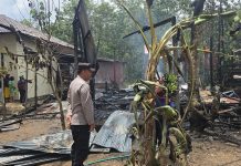 Rumah Milik Pasangan Suami Istri di Maburai Ludes Terbakar, Diduga Akibat Korsleting Listrik