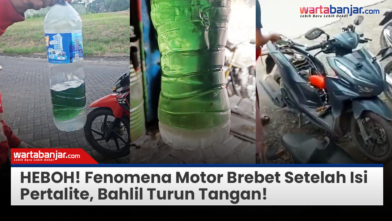 thumb Video Warta news2