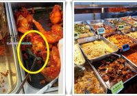 Menjijikan! Pelanggan Temukan Tikus Goreng di Dalam Wadah Ayam di Kios Nasi Campur, 12 Kios Langsung Disegel!
