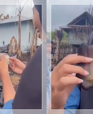 Potongan Lembar Al-Qur’an Ditemukan di Tengah Puing Kebakaran Desa Dumu, Netizen Merinding Lihat Ayatnya