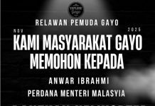 Beredar Postingan Warga Aceh Minta Bantuan Helikopter ke Malaysia di Tengah Banjir Bandang Melanda