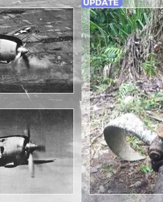 Warga Papua Temukan Bangkai Pesawat Tempur! Diduga Nakajima Ki-84 Peninggalan Perang Dunia II