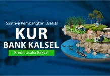 Ingin Usaha Tapi Terkendala Modal? Bank Kalsel Tawarkan KUR Berbunga Rendah Tanpa Agunan