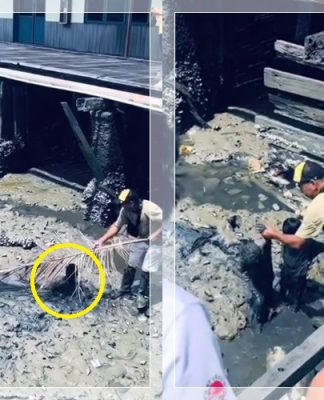 VIRAL! Dua Bocah Nyaris Tersedot Lumpur di Kotabaru: Detik-Detik Penyelamatan Dramatis Terekam di TikTok!