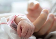 TRAGEDI Ibu &amp; Bayi Meregang Nyawa di Papua: Ditolak 4 RS, Gubernur Murka dan Akui Kebobrokan Total Layanan Kesehatan