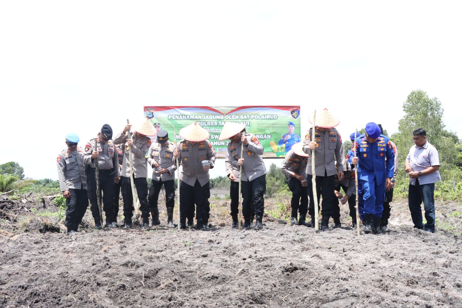 Bukan Cuma Jaga Kamtibmas, Polres Tanah Laut Kini 'Bertani' Jagung Pakan di Lahan 2 Hektare