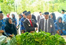 Peringati Hari Pahlawan, DKPPTPH Kabupaten Tabalong Gelar Pasar Petani